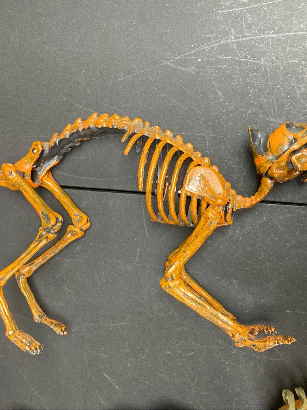 Halloween bundle Orange Skeleton Cat 4black rats 5 Decorative Pumpkins